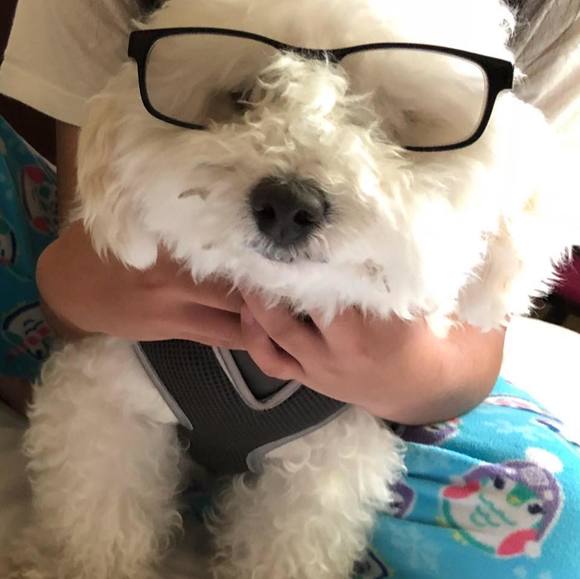 Meet your Posher, Lu - Picture 1 of 1